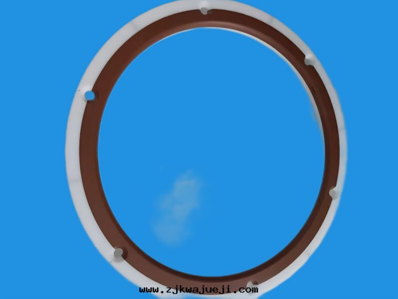 vespel ring 8″ (713-028553-002)