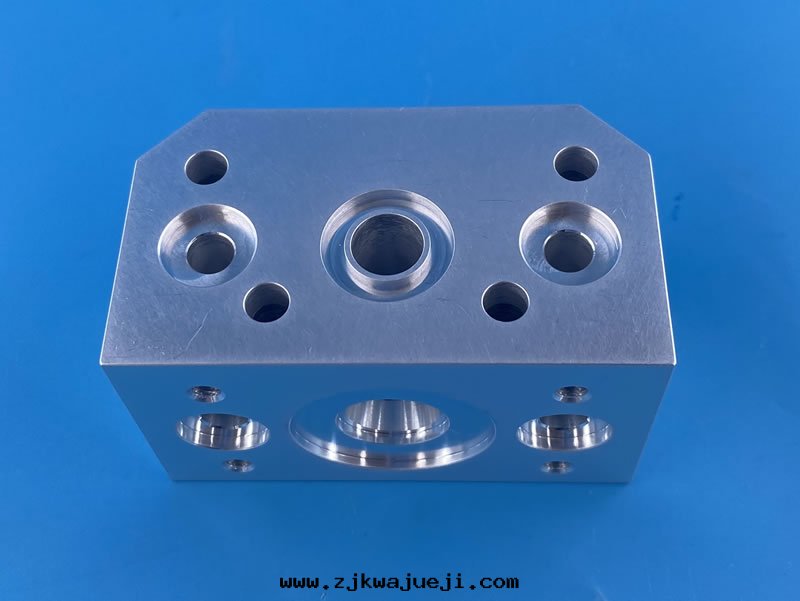 MANIFOLD OUTPUT PL (0020-10134)